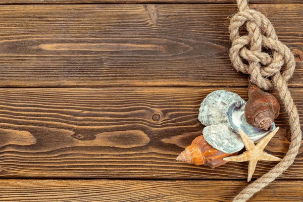 Seashells Fazem Fronteira Com Madeira Fundo Marinho — Fotografia de Stock