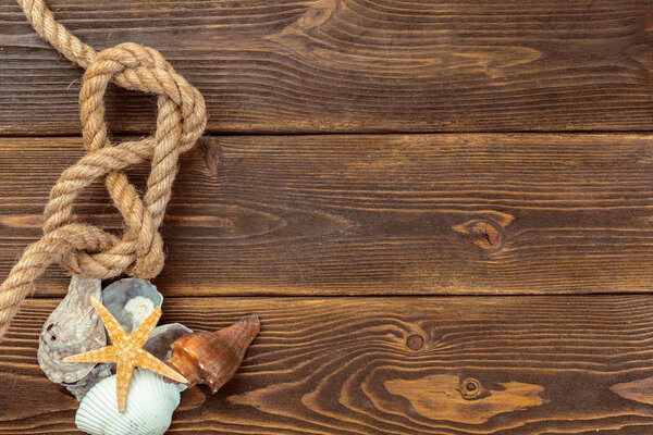 Seashells border on wood. Marine background.