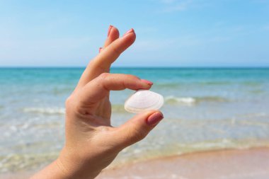 Bir deniz kabuğu sahilde tutan kadının el. 
