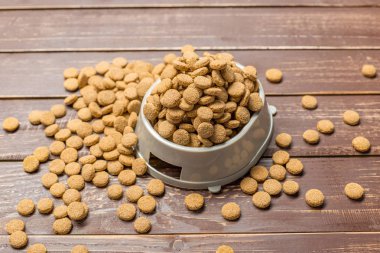 Kuru gıda köpek veya kedi için. atış kapatın