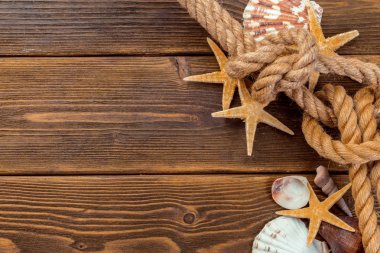 Deniz kabuklarını tahtaya kenarlık. Deniz arka plan.