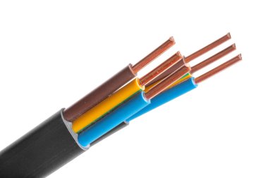 Beyaz arka plan üzerinde izole birçok telleri ile elektrik ekranlı kablo