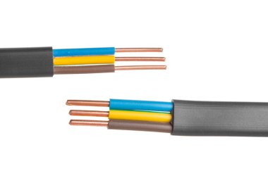 Beyaz arka plan üzerinde izole birçok telleri ile elektrik ekranlı kablo