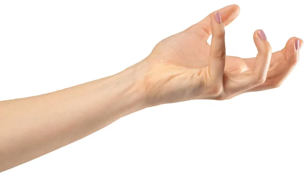 Жест Женской Руки Белом Фоне — стоковое фото
