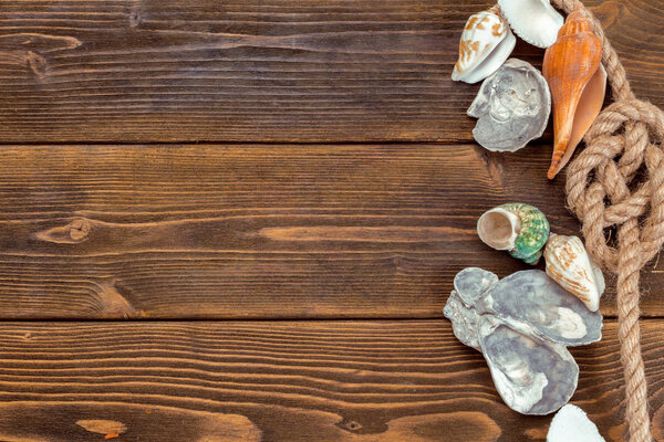 Seashells border on wood. Marine background.