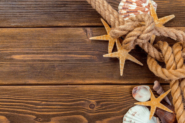 Seashells border on wood. Marine background.