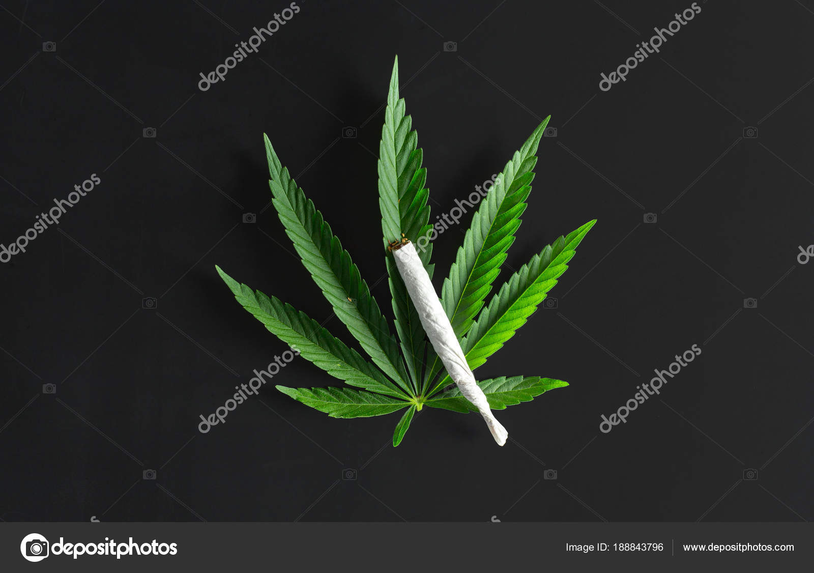 крупный размер марихуаны