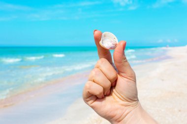 Bir deniz kabuğu sahilde tutan kadının el. 