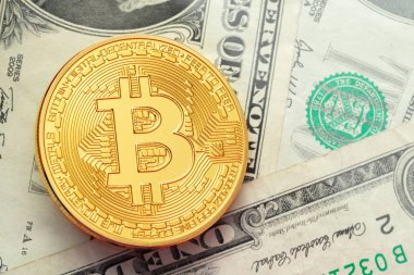 Bitcoin ve dolar arka plan