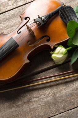 Gül desenli ahşap arka plan üzerinde güzel keman 