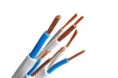 Beyaz arka plan üzerinde izole birçok telleri ile elektrik ekranlı kablo