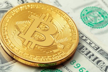 Bitcoin ve dolar arka plan