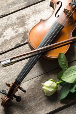 Gül desenli ahşap arka plan üzerinde güzel keman 