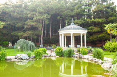 Şehir Parkı ve su birikintisi bahar bakış