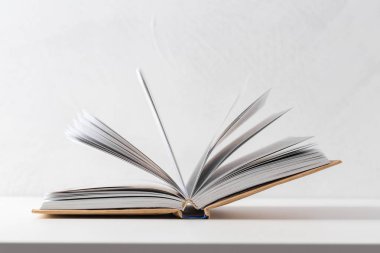  Masadaki bir yığın kitap.