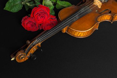 Keman ve siyah arka plan üzerine gül.