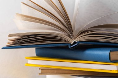  Masadaki bir yığın kitap.