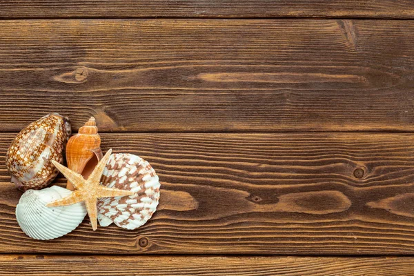 Accesorios Playa Sobre Tabla Madera — Foto de Stock