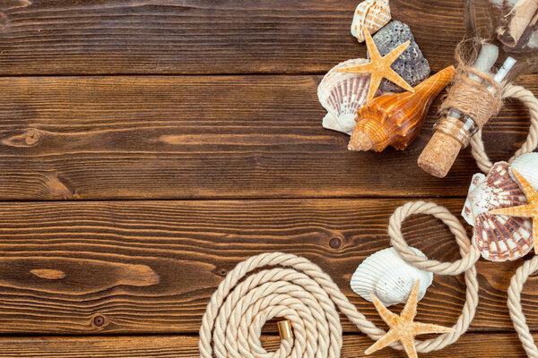 Seashells border on wood. Marine background.