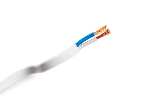 Elektrisches Abgeschirmtes Kabel Mit Vielen Drähten Isoliert Auf Weißem Hintergrund — Stockfoto