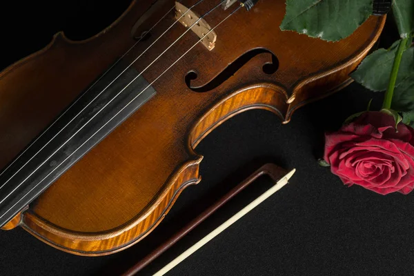 Violino Rosa Fundo Preto — Fotografia de Stock