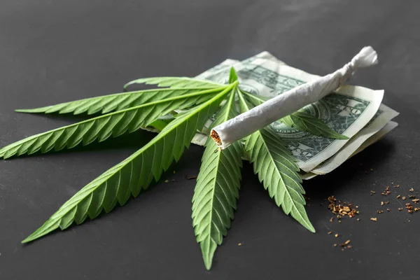 Primer Plano Marihuana Medicinal Sobre Fondo Gris —  Fotos de Stock