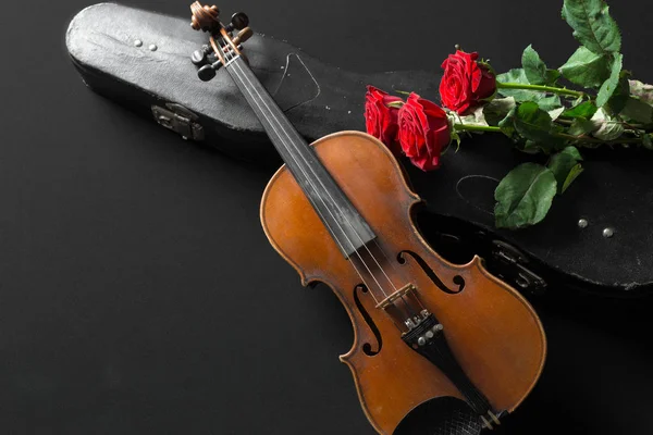 Violino Rosa Sfondo Nero — Foto Stock