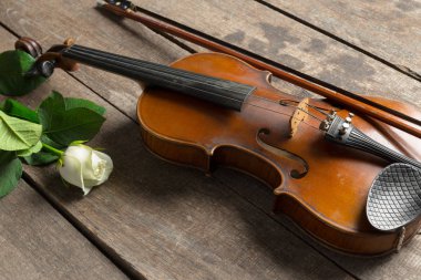 Gül desenli ahşap arka plan üzerinde güzel keman 