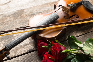 güzel kırmızı gül ve keman ahşap arka plan üzerinde 