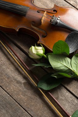 Gül desenli ahşap arka plan üzerinde güzel keman 