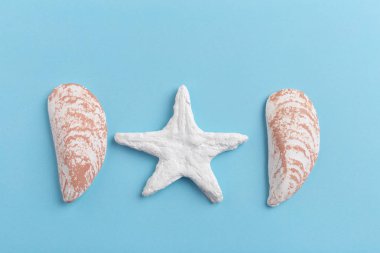 deniz kabuklarını parlak zemin üzerine