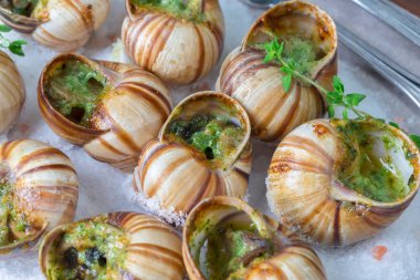 Baked snails with garlic butter and fresh herbs clipart