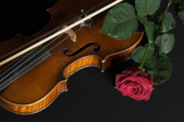Keman ve siyah arka plan üzerine gül.