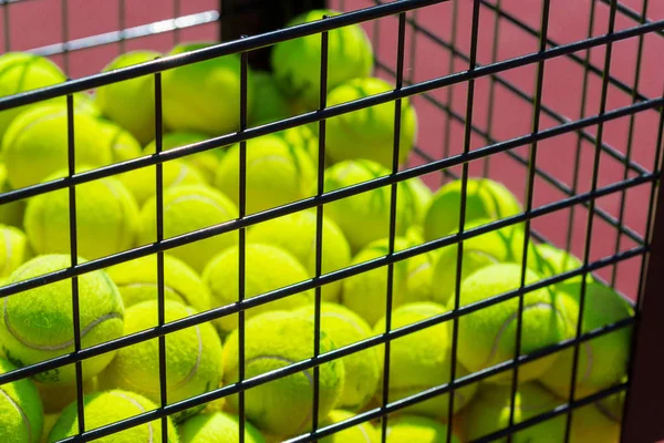 tennis balls in basket on court