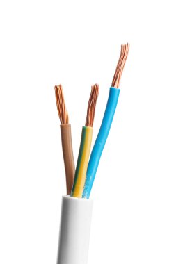 Beyaz arka plan üzerinde izole birçok telleri ile elektrik ekranlı kablo