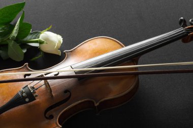 Keman ve siyah arka plan üzerine gül.