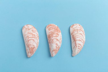 deniz kabuklarını parlak zemin üzerine