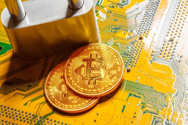 Anakart Arka Plan Üzerinde Altın Bitcoin Cryptocurrency — Stok fotoğraf