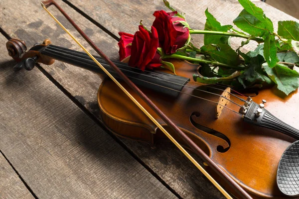 Belas Rosas Vermelhas Violino Fundo Madeira — Fotografia de Stock