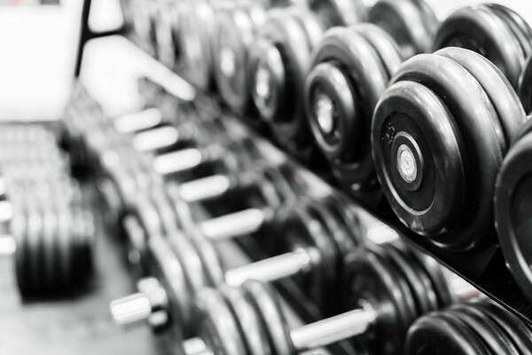 Dumbbells in gym closeup, sport equipment 