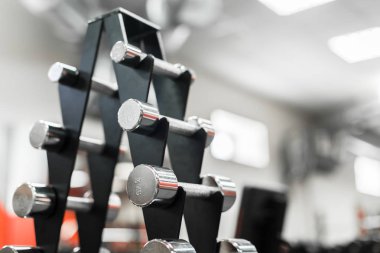 Halter spor salonu portre, Spor donatımı 