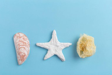 deniz kabuklarını parlak zemin üzerine