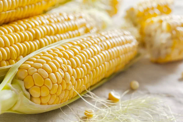 Сырая Свежая Кукуруза Пищевой Фон — стоковое фото