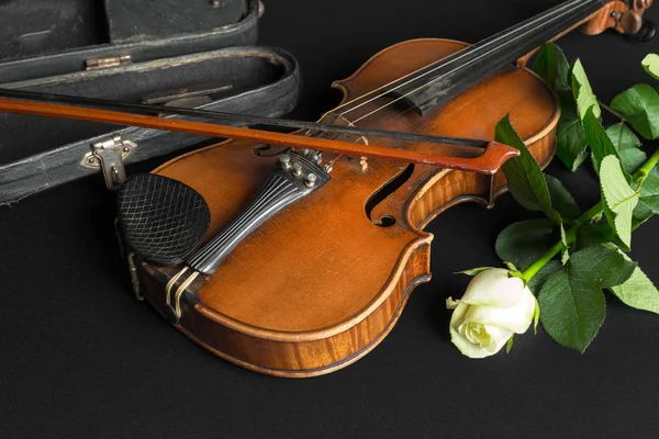 Violino Rosa Sfondo Nero — Foto Stock