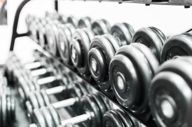 Demir dumbbells spor salonunda