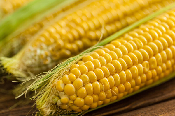 fresh corn on wooden table