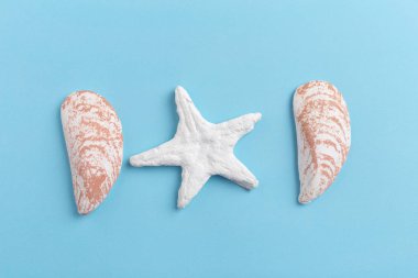 deniz kabuklarını parlak zemin üzerine