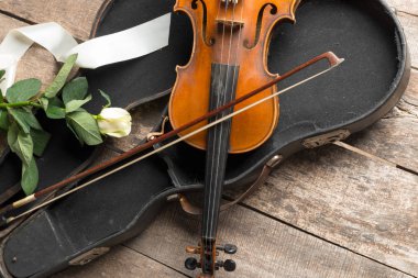 Beyaz gül desenli güzel keman