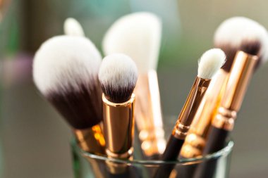 Professional make-up brushes