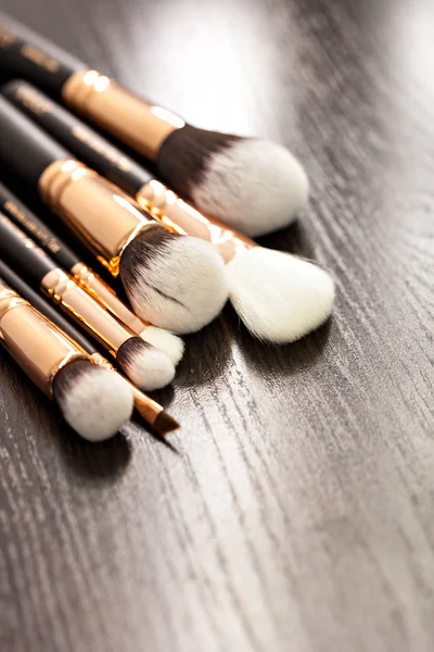Professional Make Brushes — Stok fotoğraf